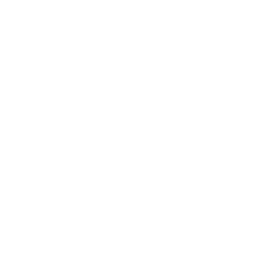 Prince Logo